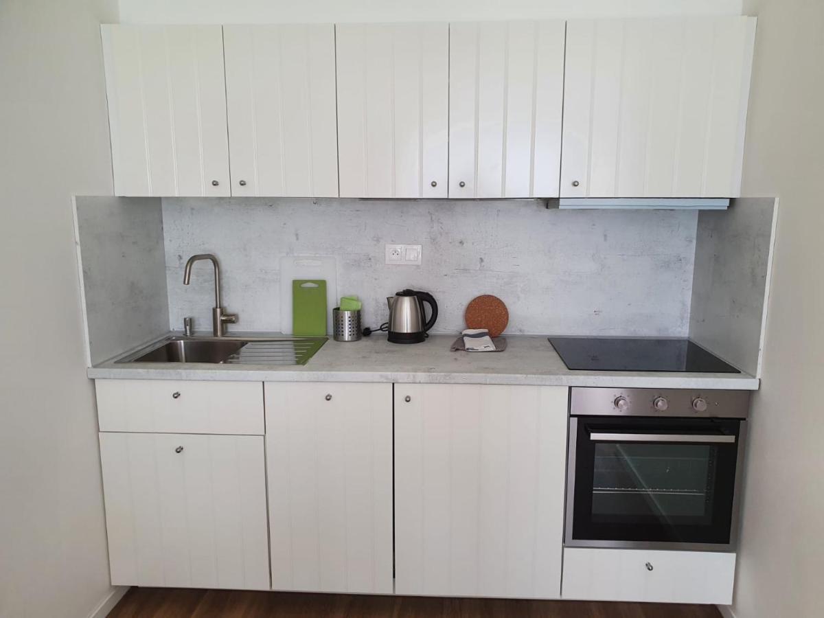 Stylish Apartment With Terrace And Garage In The City Center Plzeň Dış mekan fotoğraf